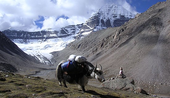 Trekking Autour de Kailash au Tibet avec Everest et Tsada