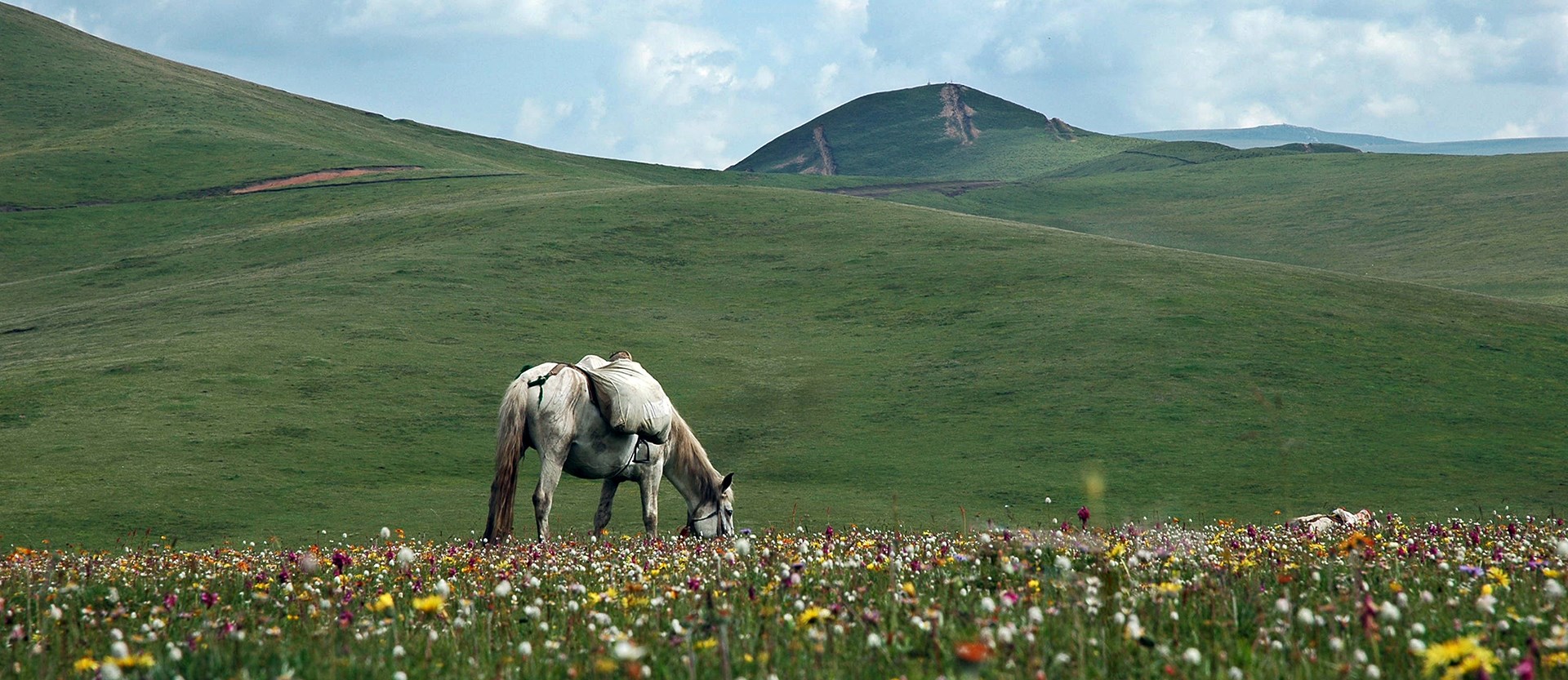 Voyage d’Équitation dans Régions Tibétaines Kham-Amdo